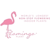 Flamingo-Plant