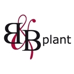 BenB-Plant