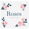 Roses-Organic-farm