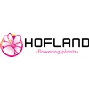 Hofland-Flowering-Plants