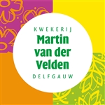 Fa-Freek-van-der-Velden