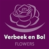 Verbeek-en-Bol