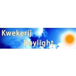Kwekerij-Daylight