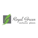 Royal-Green