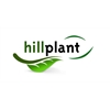 Hillplant-BV