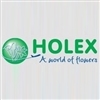 Holex-Flower-BV