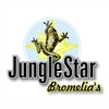 JungleStar-Bromelia’s