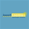 Joost-Looman-Hydrangea