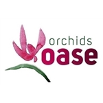 Orchids-Oase