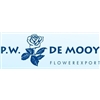PW-de-Mooy-BV