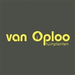 Van-Oploo-tuinplanten