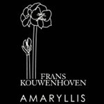 Frans-Kouwenhoven-Amaryllis