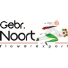 Gebr-Noort-flowerexport