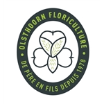 SAS-Olsthoorn-Floriculture