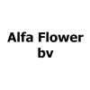 Alfa-Flower-bv