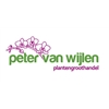 Peter-van-Wijlen