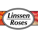 Linssen-Roses