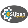 Sijben-Hydrangea