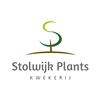 Stolwijk-Plants