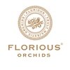 Florious-Orchids