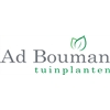 Ad-Bouman-Tuinplanten-BV