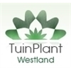 Tuinplant-Westland