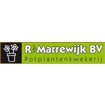 R-van-Marrewijk-BV