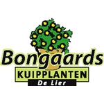 Bongaards
