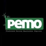 Pemo-ApS