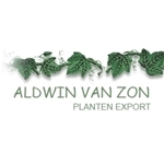 Aldwin-van-Zon-Planten-Export