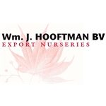 Wm-J-Hooftman-bv