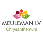 LV-Meuleman