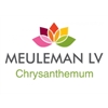 LV-Meuleman