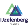 IJzelenberg-Plants