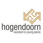 Hogendoorn-Holland-BV