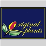 Original-Plants-VOF
