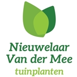 Nieuwelaar-van-der-Mee-Tuinplanten