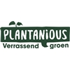 Plantanious-BV