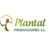 Plantal-Producciones-International