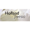 Hoflandfreesia-BV