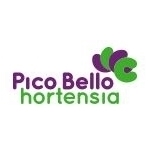Pico-Bello-Hortensia