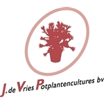 J-de-Vries-Potplantencultures-bv