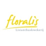 Floralis-Lisianthus-kwekerij