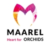 Maarel-Orchids