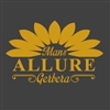 Allure-Gerbera