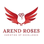 Arend-Roses