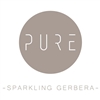 Pure!-Gerbera-BV