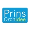 Prins-Orchidee