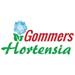 Gommers-Hortensia