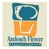 Andesch-Flowers---Herbachef